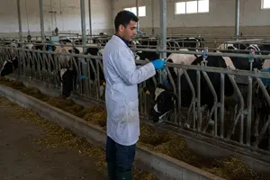        العمال المتخصصون في مزارع الإنتاج الحيواني الذين لم يرد تصنيفهم في مكان آخر      